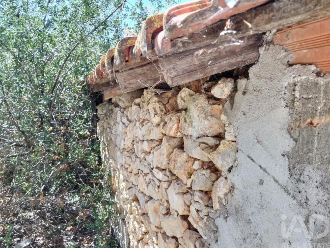 Moradia para Venda em Brogueira, Parceiros de Igreja e Alcorochel Foto 11