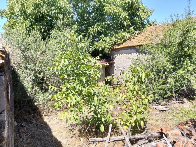 Moradia para Venda em Brogueira, Parceiros de Igreja e Alcorochel Foto 10