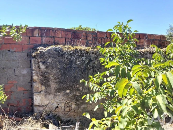 Moradia para Venda em Brogueira, Parceiros de Igreja e Alcorochel Foto 12