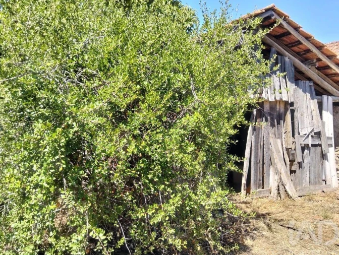 Moradia para Venda em Brogueira, Parceiros de Igreja e Alcorochel Foto 2