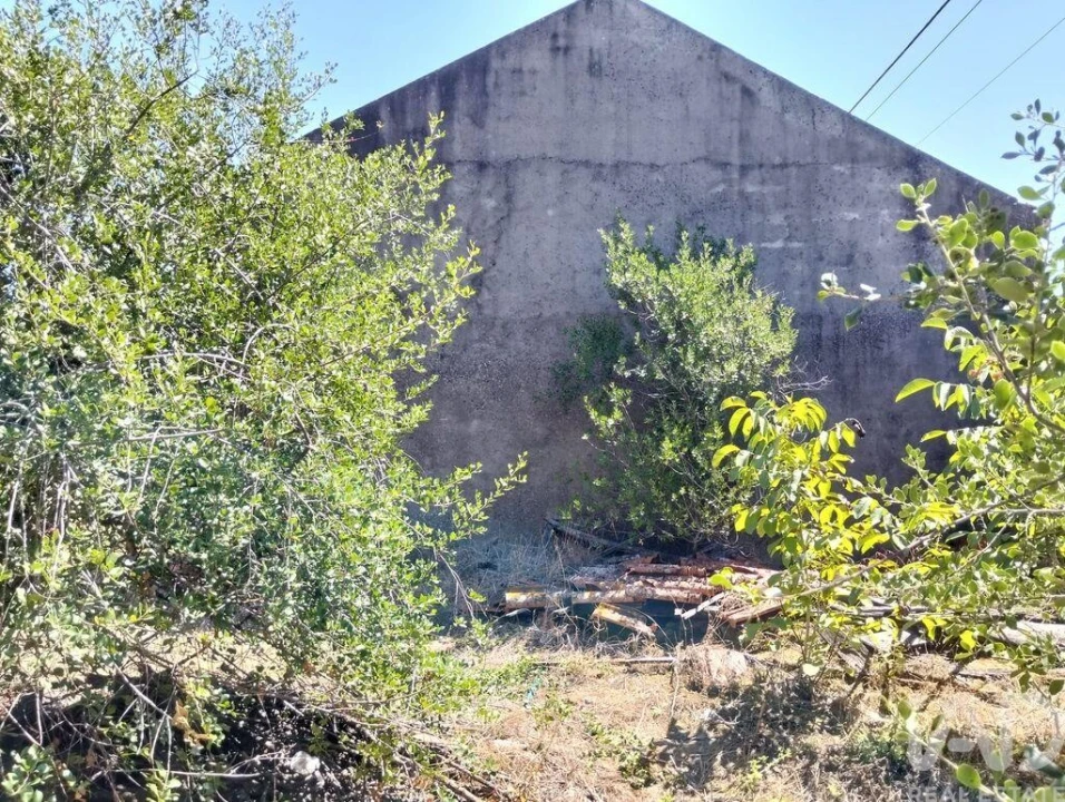 Moradia para Venda em Brogueira, Parceiros de Igreja e Alcorochel Foto 6