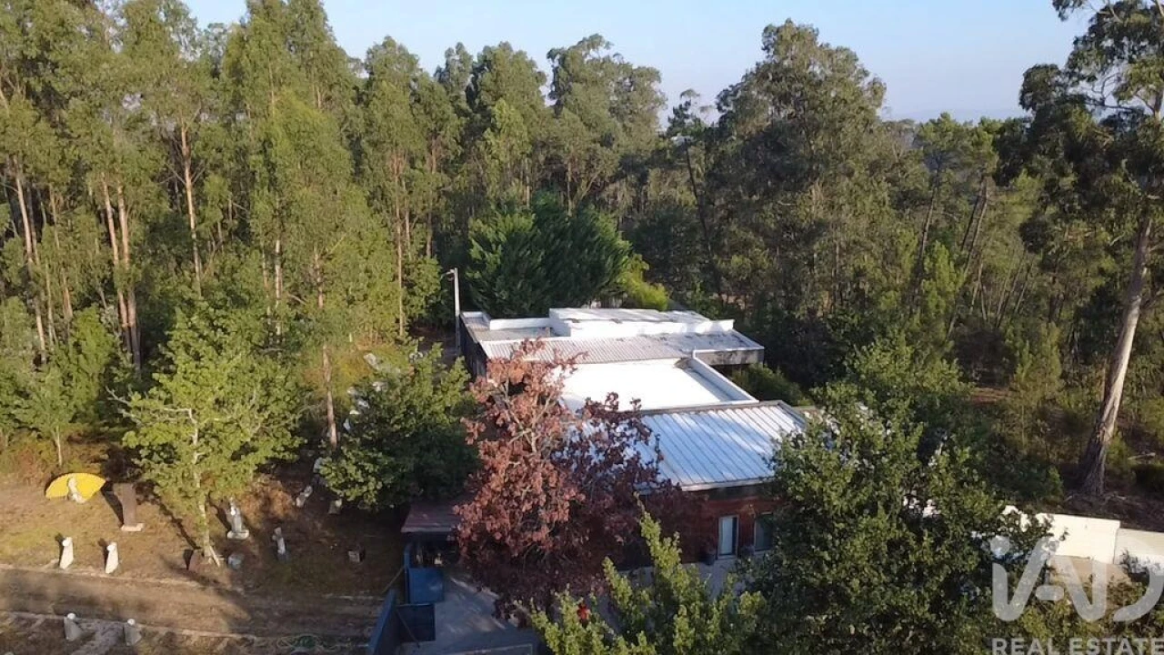 Moradia T5 para Venda em Cambra e Carvalhal de Vermilhas Foto 32