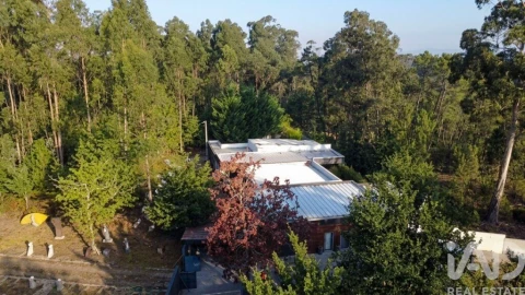 Moradia T5 para Venda em Cambra e Carvalhal de Vermilhas