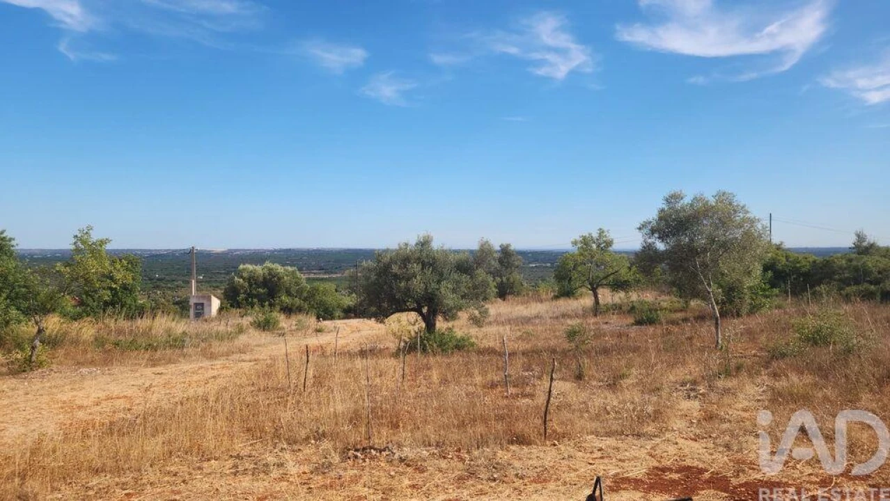 Terreno para Venda em São Bartolomeu de Messines Foto 5