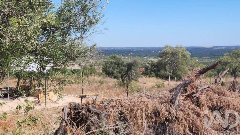 Terreno para Venda em São Bartolomeu de Messines