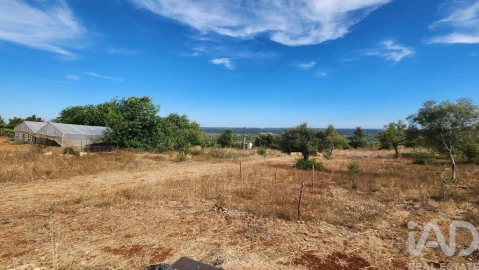 Terreno para Venda em São Bartolomeu de Messines