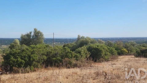 Terreno para Venda em São Bartolomeu de Messines