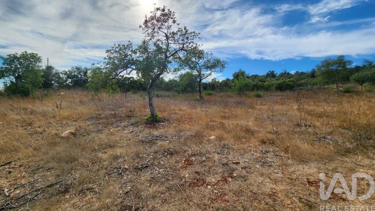 Terreno para Venda em São Bartolomeu de Messines Foto 23
