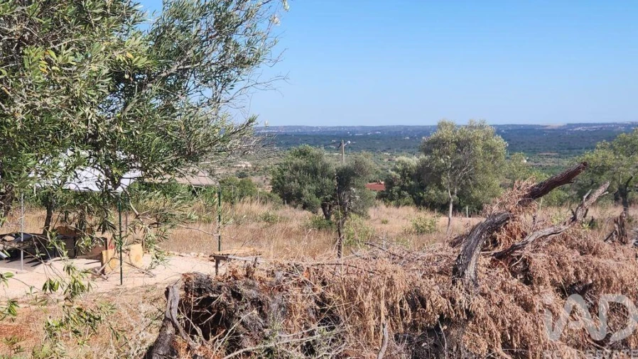 Terreno para Venda em São Bartolomeu de Messines Foto 15