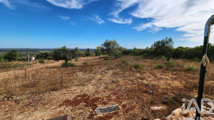 Terreno para Venda em São Bartolomeu de Messines Foto 17