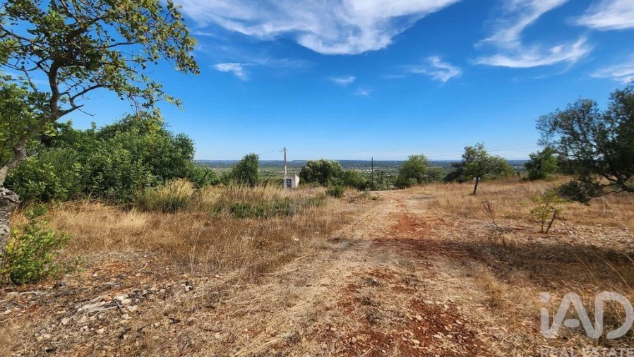Terreno para Venda em São Bartolomeu de Messines Foto 20