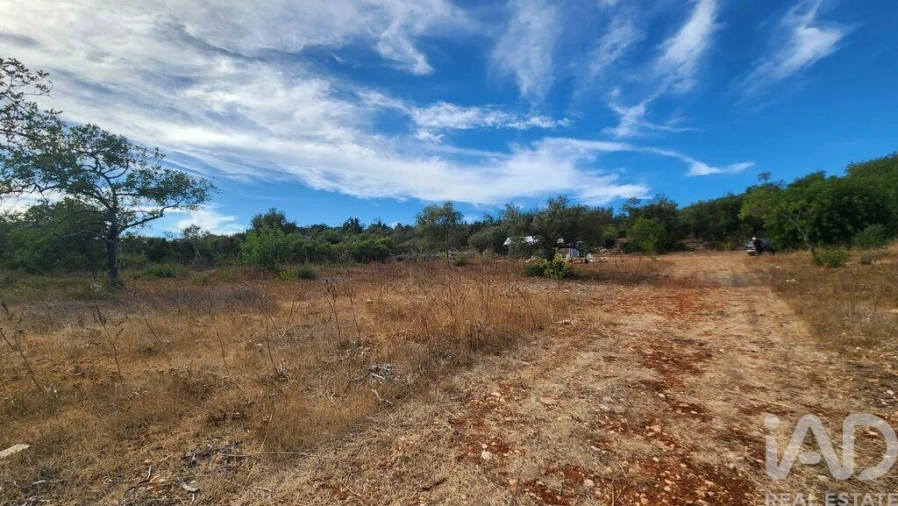 Terreno para Venda em São Bartolomeu de Messines Foto 3