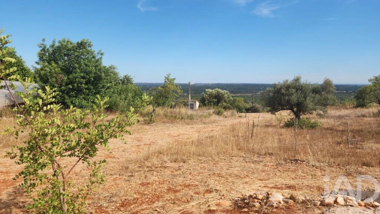 Terreno para Venda em São Bartolomeu de Messines Foto 7