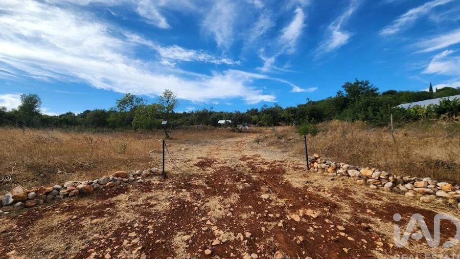 Terreno para Venda em São Bartolomeu de Messines