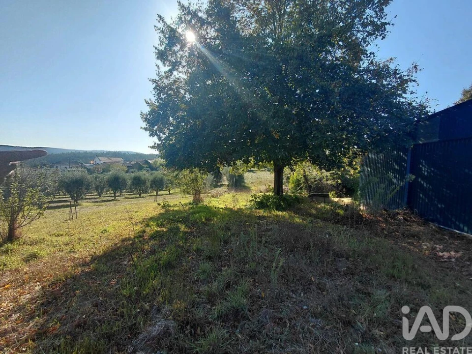 Moradia T2 para Venda em Mortágua, Vale de Remígio, Cortegaça e Almaça Foto 9