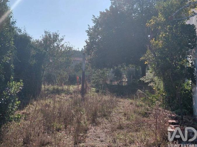 Moradia T2 para Venda em Mortágua, Vale de Remígio, Cortegaça e Almaça Foto 11