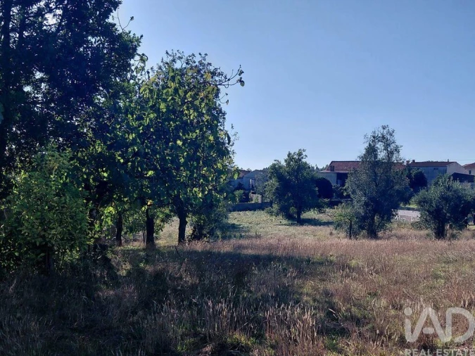 Moradia T2 para Venda em Mortágua, Vale de Remígio, Cortegaça e Almaça Foto 12