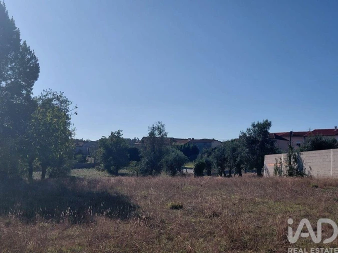 Moradia T2 para Venda em Mortágua, Vale de Remígio, Cortegaça e Almaça Foto 8