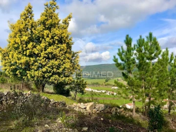 Quinta T5 para Venda em São Salvador da Aramenha