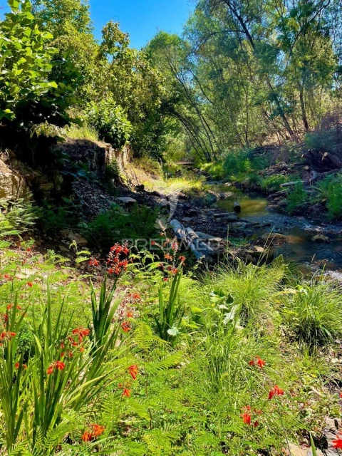 Quinta T5 para Venda em São Salvador da Aramenha