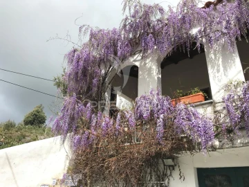 Quinta T5 para Venda em São Salvador da Aramenha