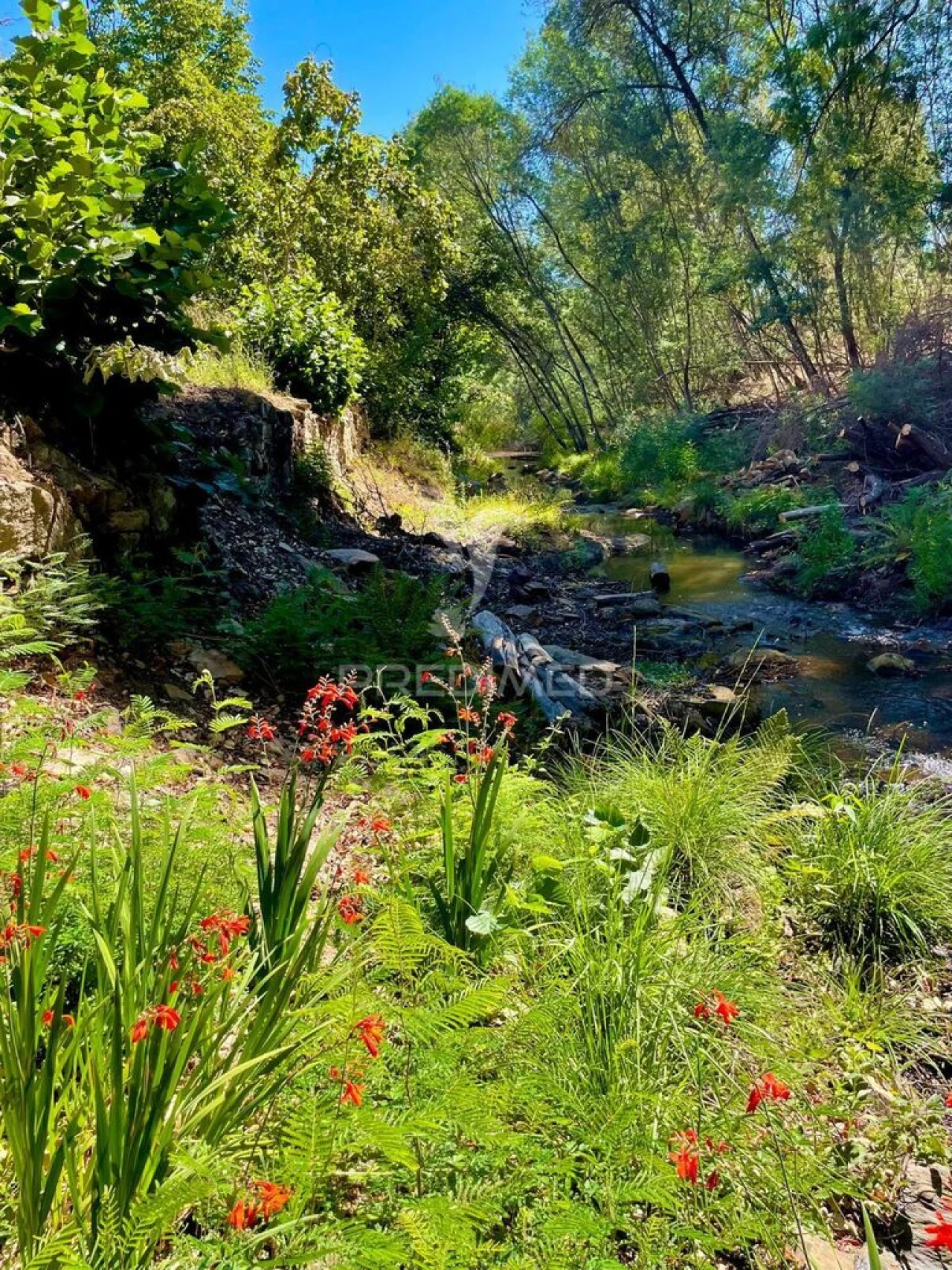 Quinta T5 para Venda em São Salvador da Aramenha Foto 3