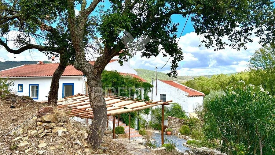 Quinta T5 para Venda em São Salvador da Aramenha