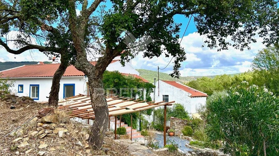 Quinta T5 para Venda em São Salvador da Aramenha