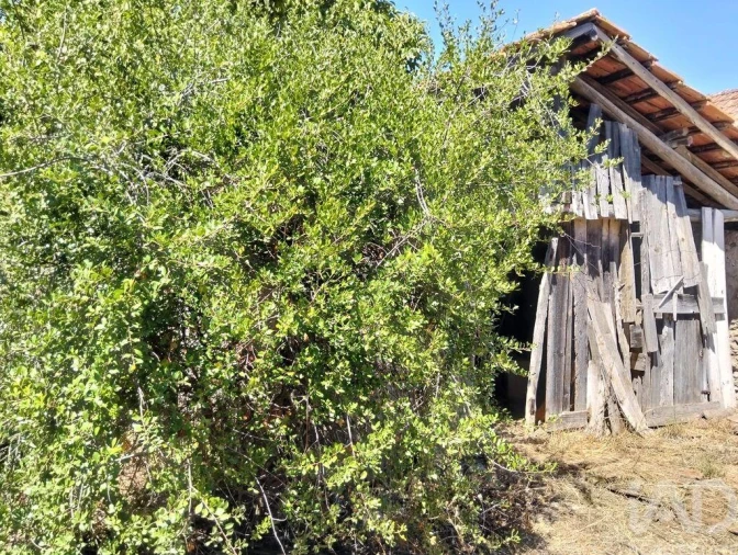 Moradia T2 para Venda em Brogueira, Parceiros de Igreja e Alcorochel Foto 6
