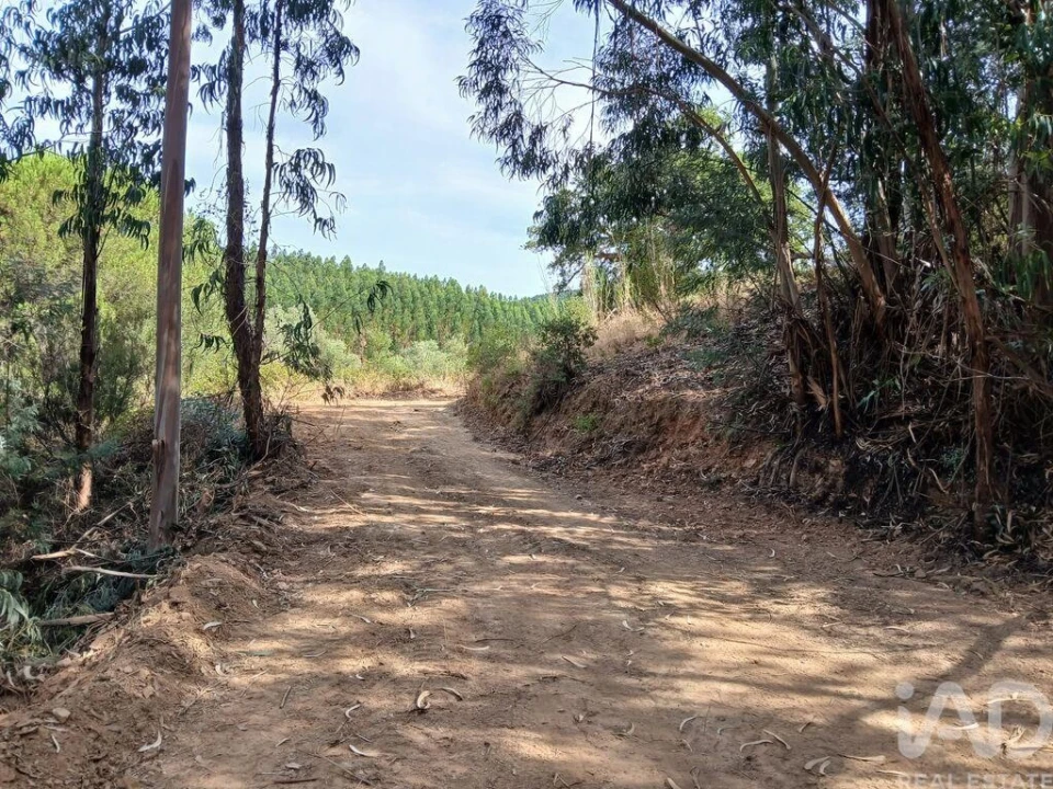 Quinta T1 para Venda em Saboia Foto 2