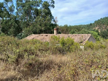 Quinta T1 para Venda em Saboia