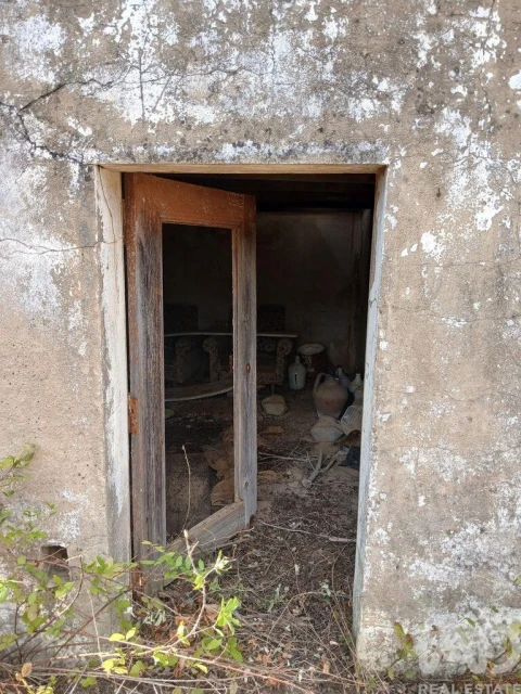 Quinta T1 para Venda em Saboia