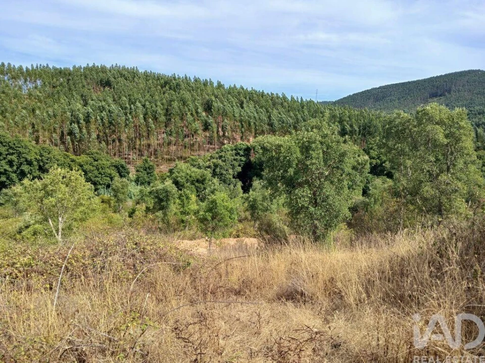Quinta T1 para Venda em Saboia Foto 27