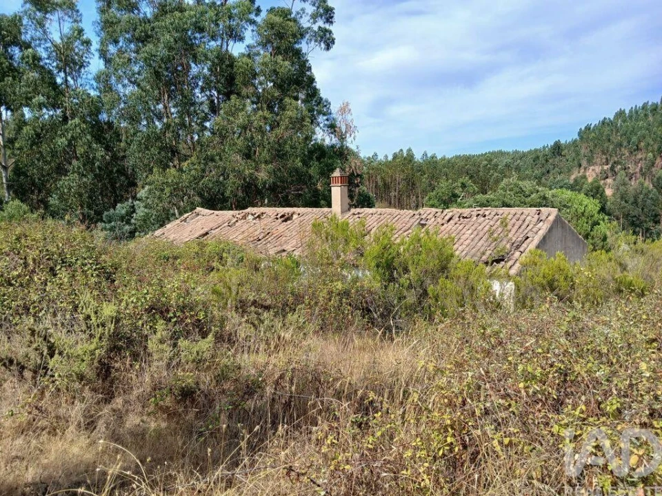 Quinta T1 para Venda em Saboia Foto 29