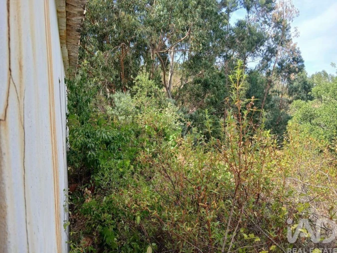 Quinta T1 para Venda em Saboia Foto 22