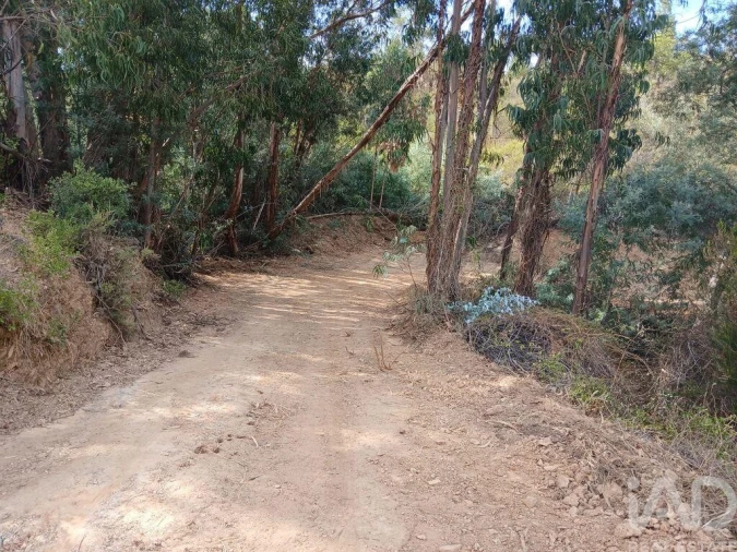 Quinta T1 para Venda em Saboia Foto 3