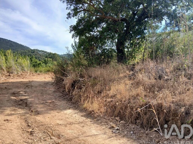 Quinta T1 para Venda em Saboia Foto 4