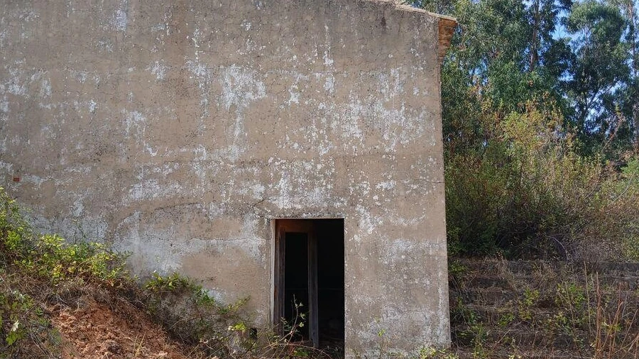 Quinta T1 para Venda em Saboia