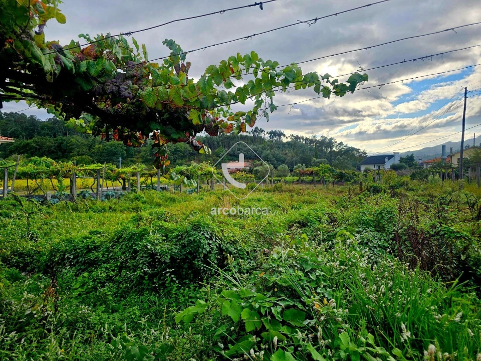 Terreno para Venda em Lavradas Foto 4