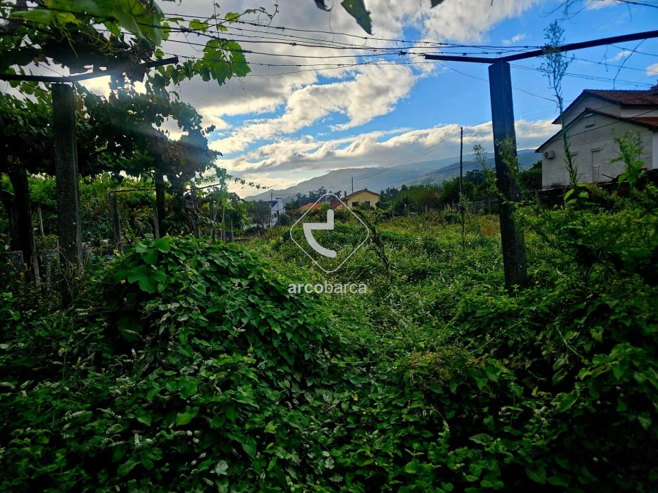 Terreno para Venda em Lavradas Foto 19