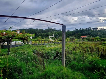 Terreno para Venda em Lavradas
