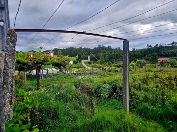 Terreno para Venda em Lavradas