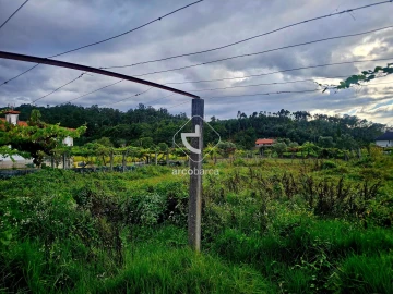 Terreno para Venda em Lavradas
