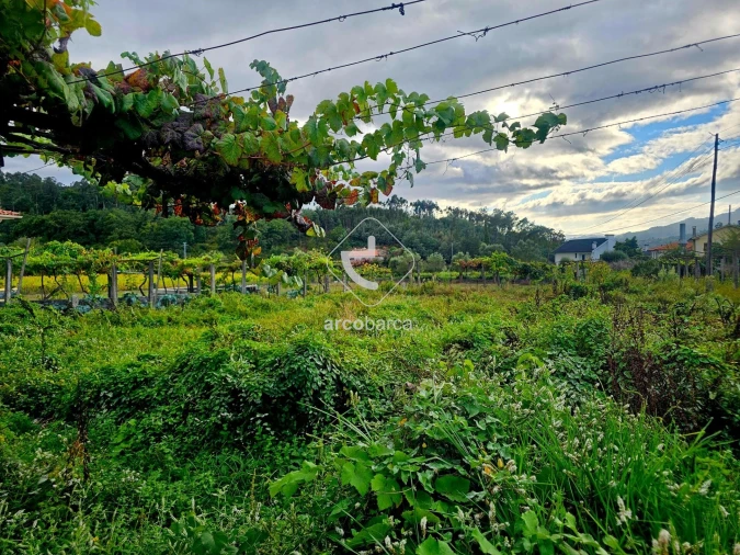Terreno para Venda em Lavradas Foto 4