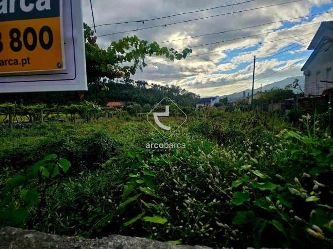 Terreno para Venda em Lavradas Foto 14