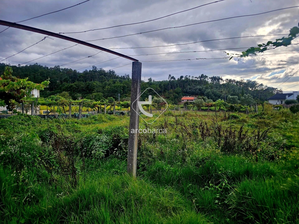Terreno para Venda em Lavradas Foto 7