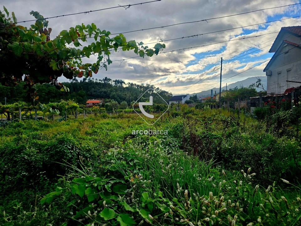 Terreno para Venda em Lavradas Foto 16