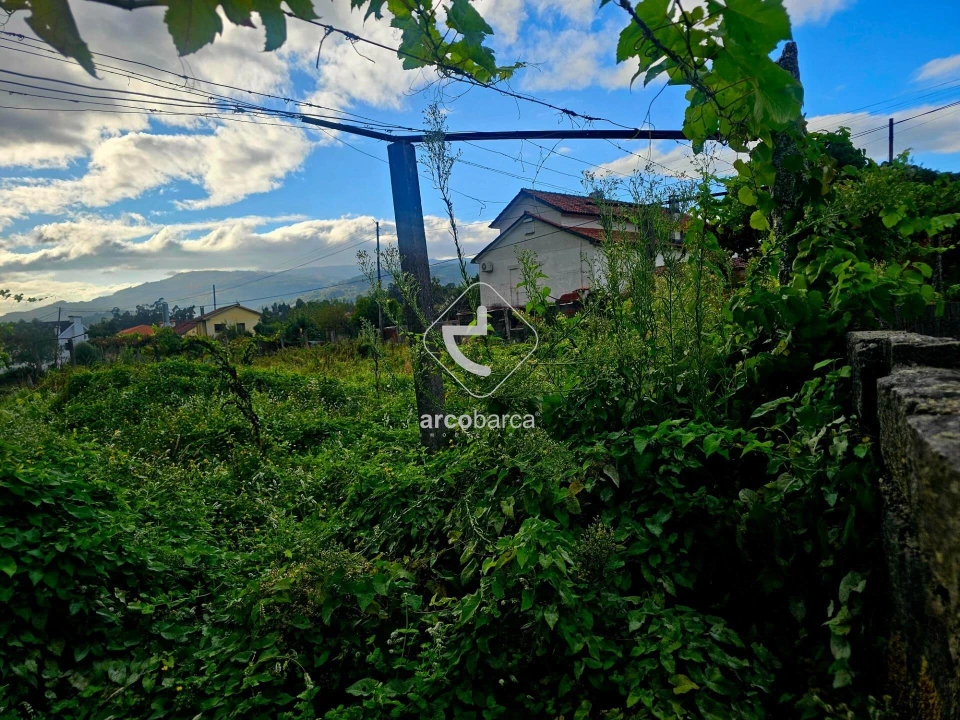 Terreno para Venda em Lavradas Foto 21