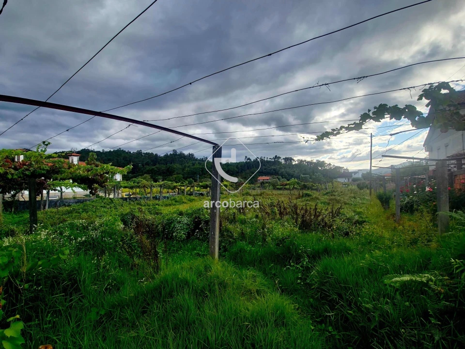 Terreno para Venda em Lavradas Foto 5