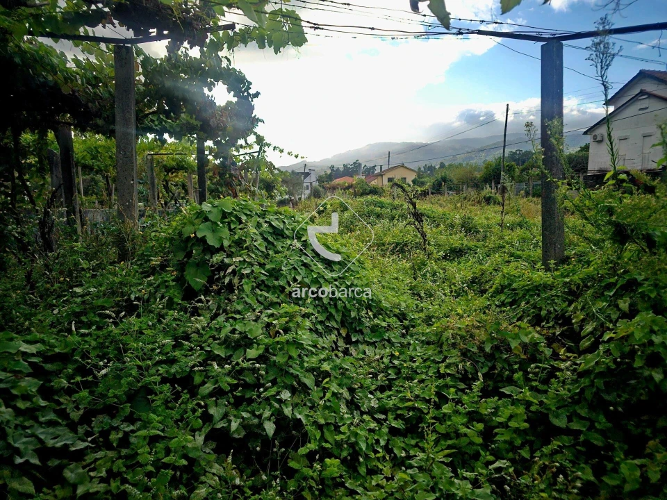 Terreno para Venda em Lavradas Foto 27